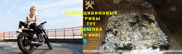 первитин Богородицк