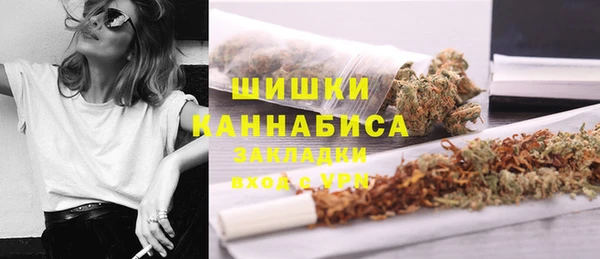 дурь Богданович