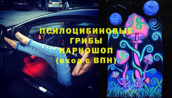 дурь Богданович