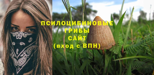 дживик Бородино