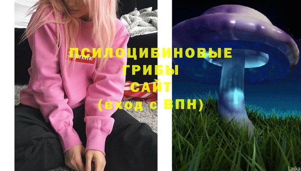 дурь Богданович