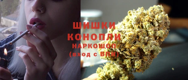 дживик Бородино