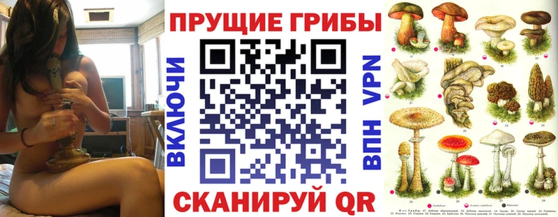 Псилоцибиновые грибы Psilocybine cubensis  закладка  Рыбинск 