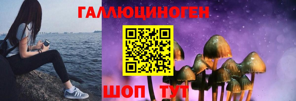 Галлюциногенные грибы MAGIC MUSHROOMS  Галлюциногенные грибы MAGIC MUSHROOMS  Рыбинск  Вход с VPN 